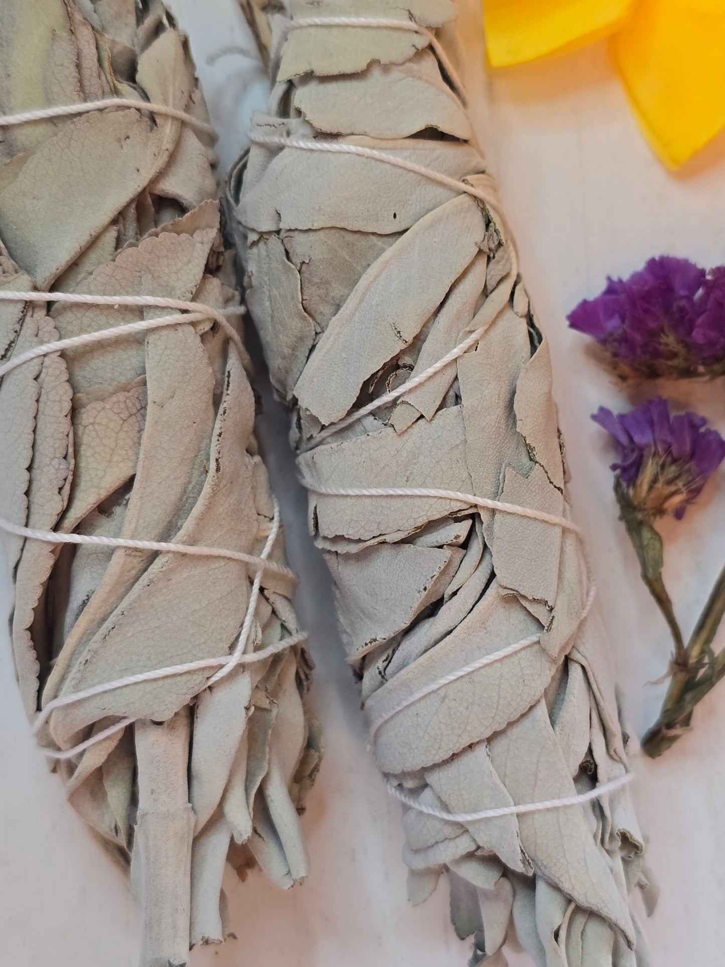 4" White Sage