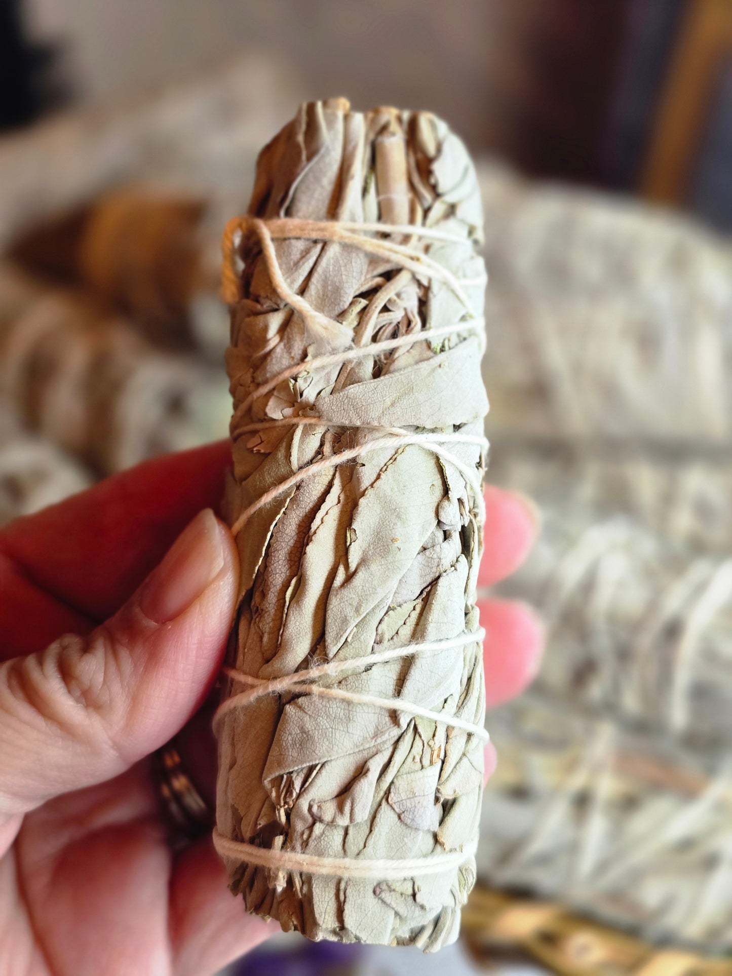 4" White Sage