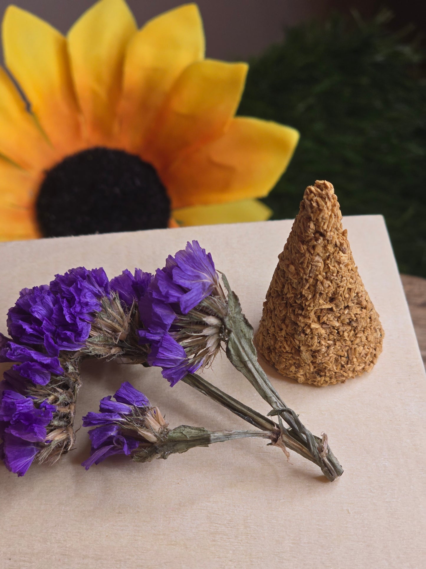 Palo Santo Cones