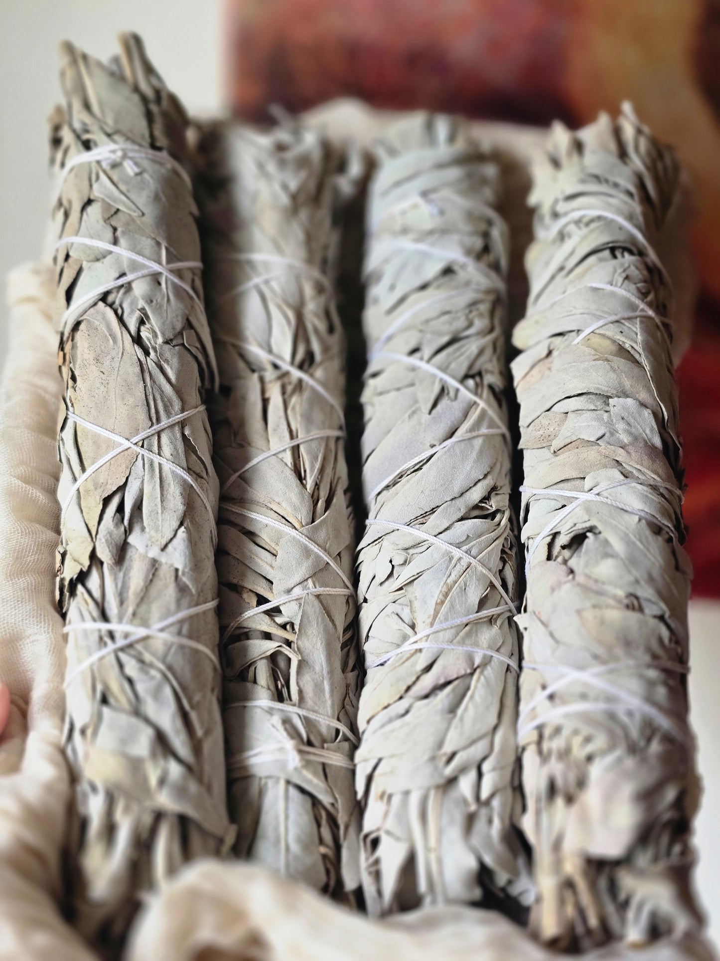8" White Sage - ROCK THAT JEWELRY 