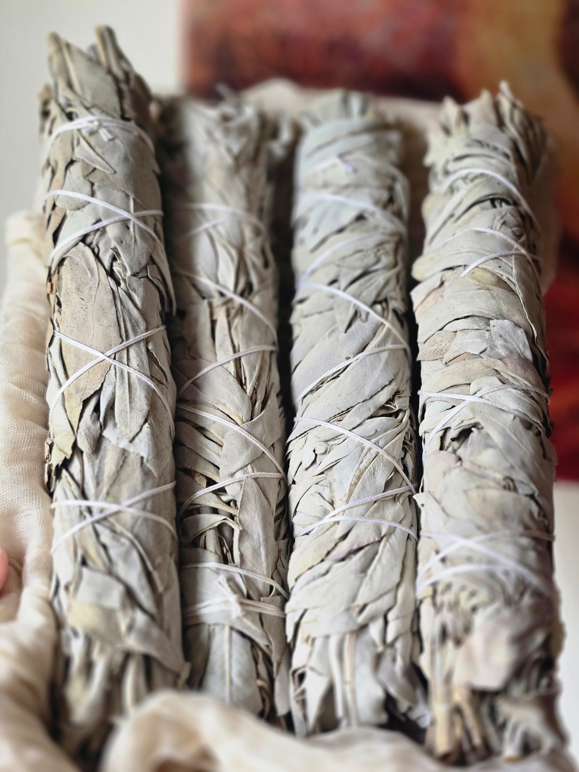 8" White Sage - ROCK THAT JEWELRY 