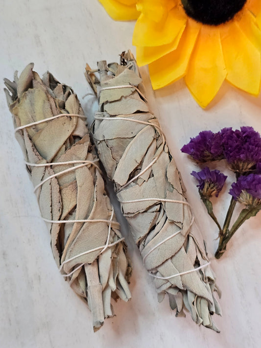 4" White Sage